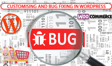 bug-fixing